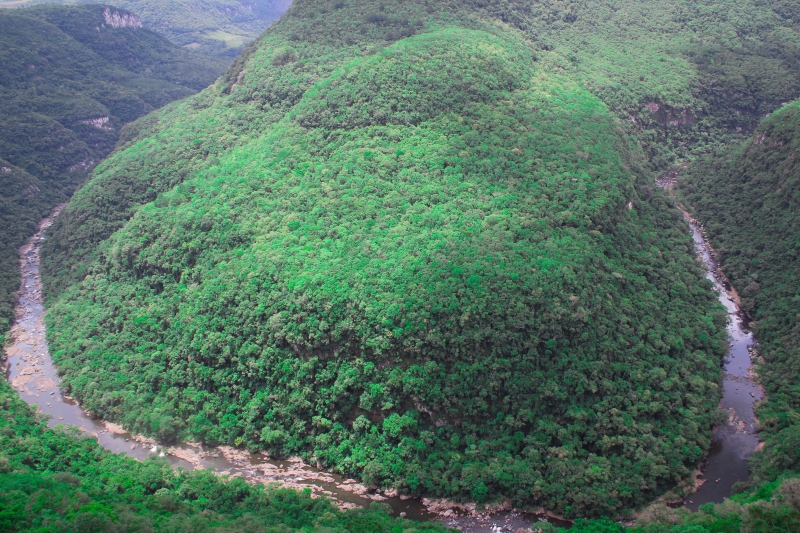 No Parque da Ferradura, em Canela, quando a temperatura sobe, os preços caem