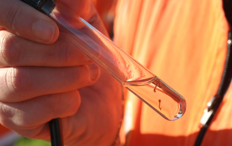 A maior parte das mortes, 629, foi provocada pela dengue