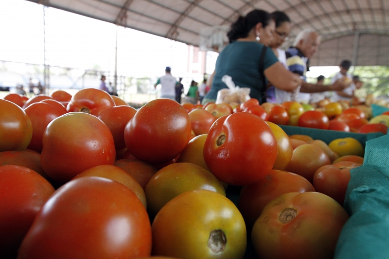 Apesar da desaceleração, o tomate foi um dos destaques para a alta do índice no período
