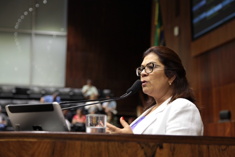 Líder da bancada do PT reivindica compensação da Lei Kandir