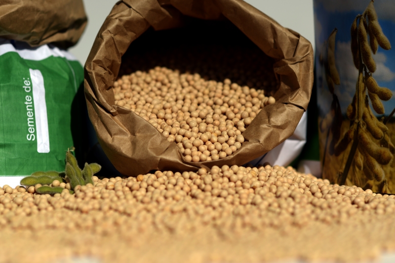 Segundo estimativas da Aprosoja (Associação dos Produtores de Soja e Milho) de Mato Grosso, o preço do frete já caiu até R$ 4,00 por saca de soja com a nova estrada