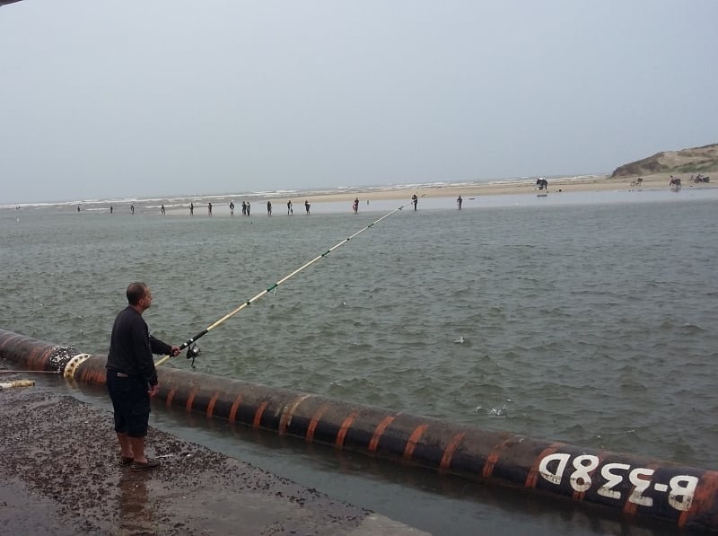 ntre os itens a serem exportadores, a tilápia - principal pescado embarcado para os EUA - está entre os destaques, segundo a Abipesca