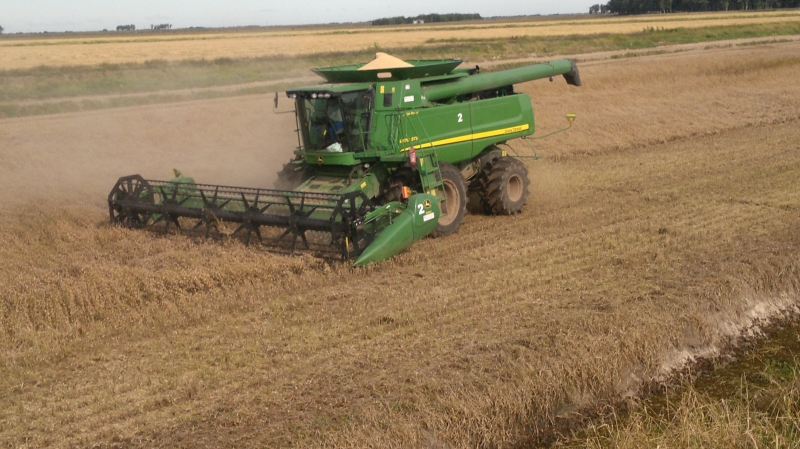 Arroz, milho e soja representam 93,7% da estimativa da produção