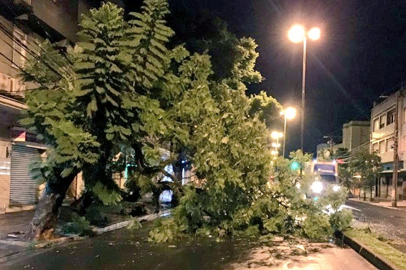 Em Porto Alegre, temporal causou alagamentos e quedas de árvore