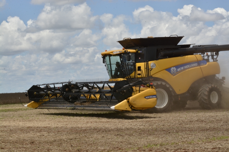 Expectativa de supersafra, estabilidade do câmbio e aumento da renda do produtor anima os fabricantes 