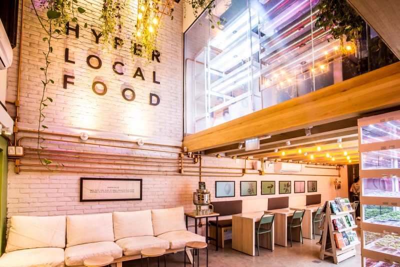 Urban Farmcy aposta na agricultura urbana