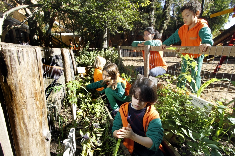 Contato das crianças com a natureza é estimulado em ambientes sustentáveis e produtivos, como as hortas da escola