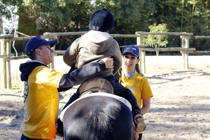Serviço é oferecido pela Cavalo Amigo na Sociedade Hípica Porto-Alegrense