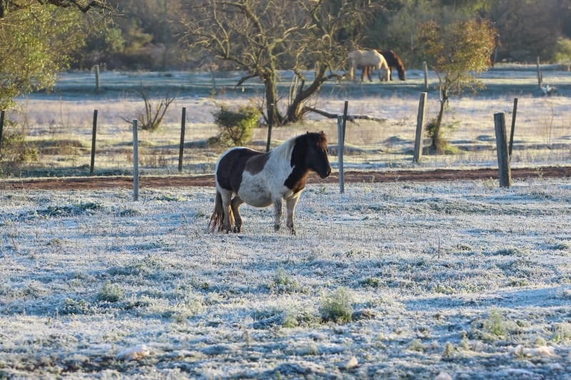 Santana do Livramento registrou mínima de -1,8 grau ontem
