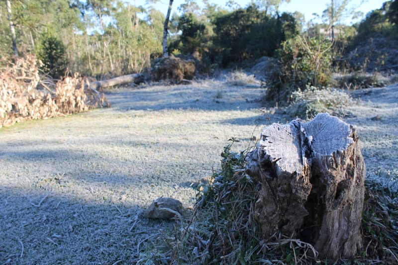 Gramado teve geada e m&iacute;nima de -2,1 graus