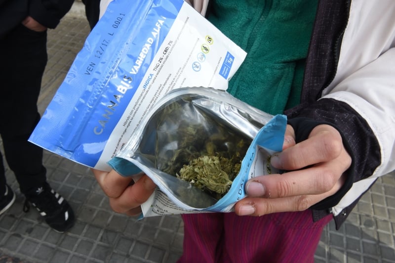 Cadastrados podem comprar a erva em 26 drogarias autorizadas