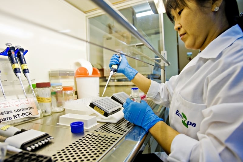 Nova tecnologia para manipulação genética de plantas desperta interesse entre os pesquisadores ligados ao agronegócio