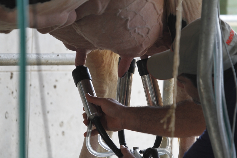 Projeto, com apoito do Sindilat, quer criar conhecimento sobre o tema e apresentar soluções aos produtores