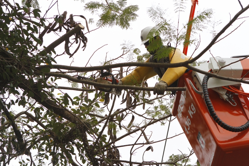 CEEE possui projeto de podas em Porto Alegre