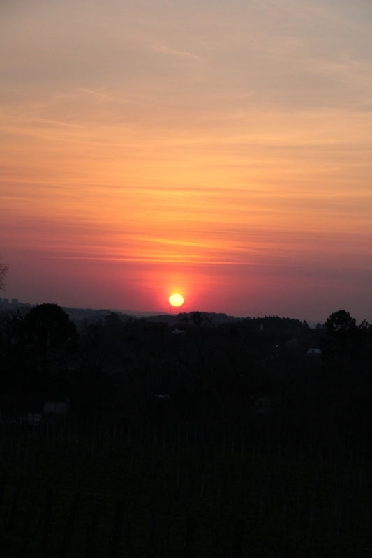 P&ocirc;r do sol do mirante da Vin&iacute;cola Don Giovanni Foto: Roberta Fofonka/Especial/JC