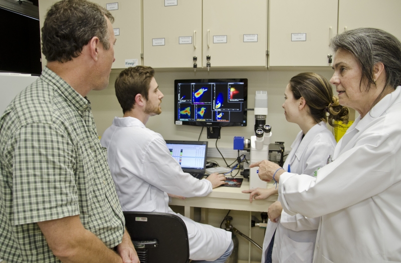 Lúcia (d) coordena o projeto do Clínicas