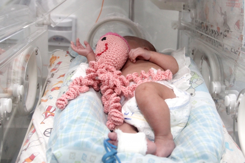 Estudos comprovam que, ao abraçar o brinquedo, os recém-nascidos se sentem mais calmos e protegidos