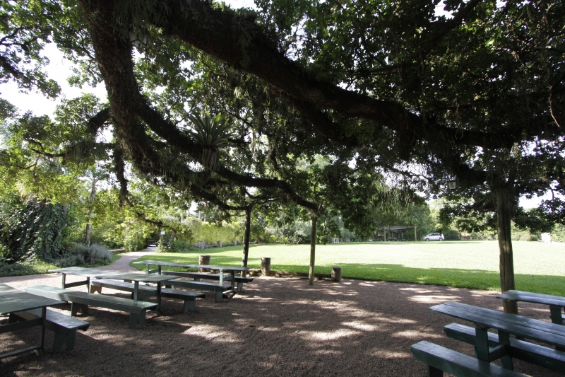 H&aacute; op&ccedil;&otilde;es de atividades educativas voltadas para crian&ccedil;as Foto: MARCO QUINTANA/JC