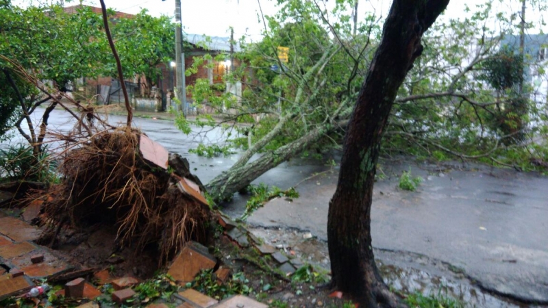 Em Santa Maria, cidade com os maiores estragos, rajadas arrancaram árvores pela raiz e destelharam casas