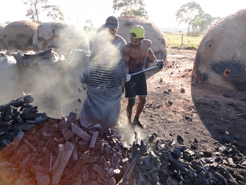 Indústria carvoeira é uma das áreas com mais casos de mão de obra em condição análoga à de escravo 