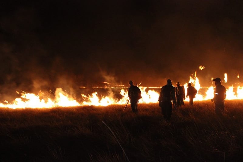 Foram mais de 500 pessoas, entre brigadistas, bombeiros e voluntários, voltadas ao combate às chamas