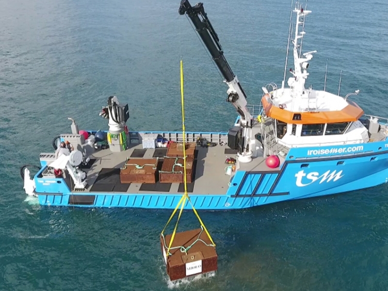 Garrafas da espumante Miolo foram retiradas do fundo do mar na costa da França