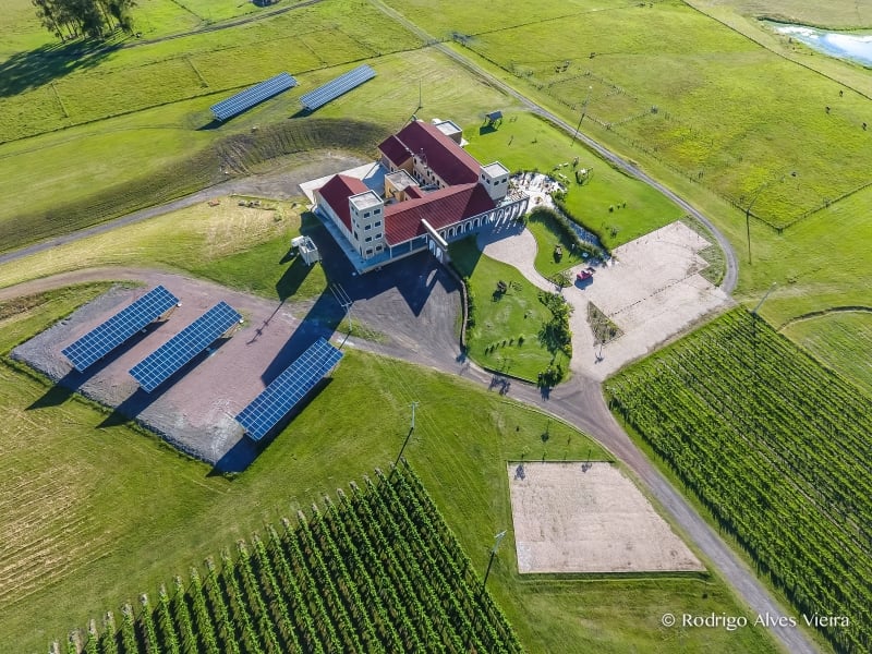 A empresa inaugurou um parque solar capaz de produzir energia limpa para a vinícola