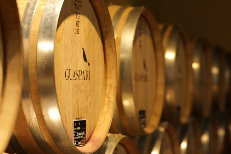 Empresa direciona todo o seu foco para vinhos diferenciados e com grande potencial de guarda