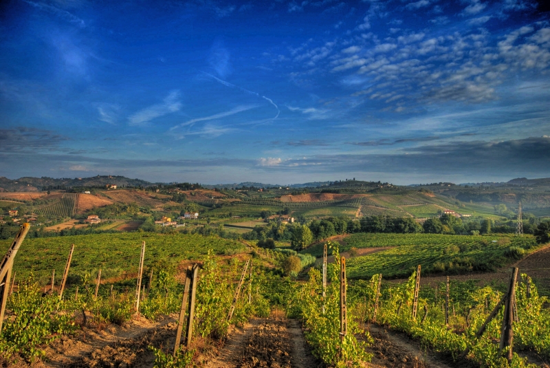 A região italiana da Toscana é a que mais arrecada com o enoturismo no mundo, cerca de US$ 200 por visitante, seguida por Vale do Napa (Estados Unidos) e Douro (Portugal)