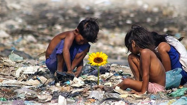 Premiado curta Ilha das flores abriu uma s&eacute;rie de contatos no exterior para a Casa de Cinema Foto: CASA DE CINEMA PORTO ALEGRE/DIVULGA&Ccedil;&Atilde;O/JC