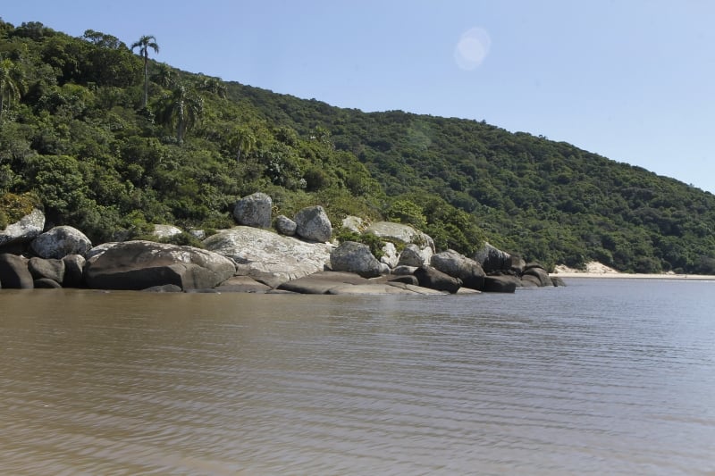 Piqueniques e travessias de barco s&atilde;o op&ccedil;&otilde;es de programas para fazer &agrave; tarde; na regi&atilde;o, que &eacute; uma das mais profundas do Gua&iacute;ba, &eacute; poss&iacute;vel ver animais, como capivaras Foto: MARCELO G. RIBEIRO/JC