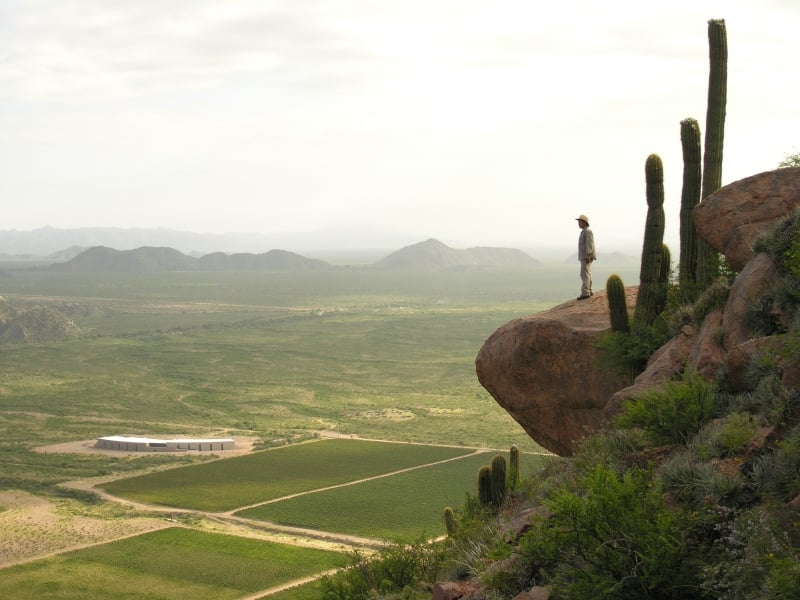 La Rioja , localizada a 1.167 quilômetros de Buenos Aires, concentra uma extensa faixa vinícola entre as serras do Vale do Famatina e de Velasco 