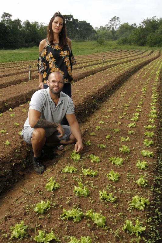 Pauta sobre o Quintal Urbano, com os empreendedores Jer&ocirc;nimo Loureiro e M&aacute;rcia Carneiro Luiz, sobre o neg&oacute;cio de solu&ccedil;&otilde;es para hortas em casa. horta, hortali&ccedil;a, cultivo, estufas, hidroponia Foto: MARCELO G. RIBEIRO/JC