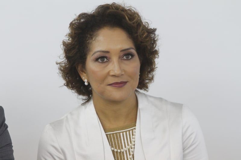 Ana Tércia diz que um dos objetivos é deixar ainda mais claro o perfil do conselho como aliado da categoria