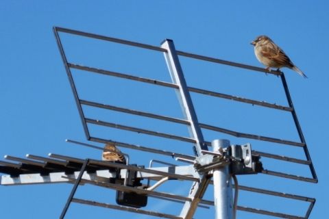 Maioria dos cursos de instalação tem carga de apenas oito horas 