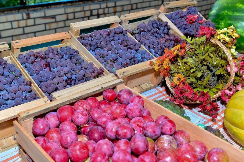 Frutas serão comercializadas na área central da cidade em janeiro
