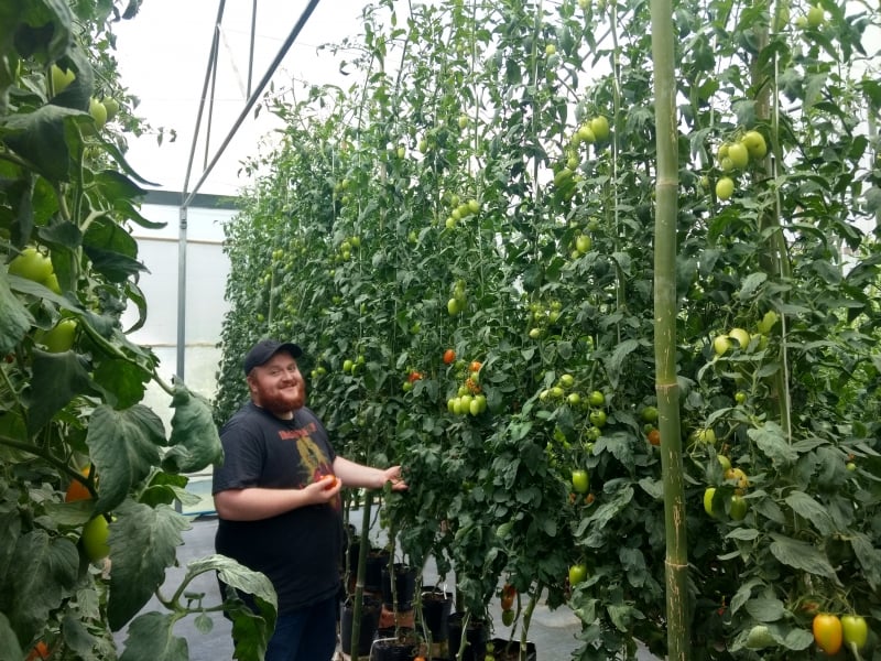 Denilson, filho do casal, &eacute; o engenheiro agr&ocirc;nomo respons&aacute;vel pela planta&ccedil;&atilde;o  Foto: ARQUIVO PESSOAL/DIVULGA&Ccedil;&Atilde;O/JC