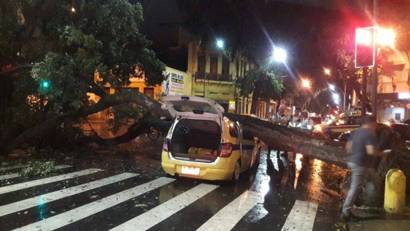 Chuva forte alagou vias, derrubou árvores e provocou desabamentos pela cidade