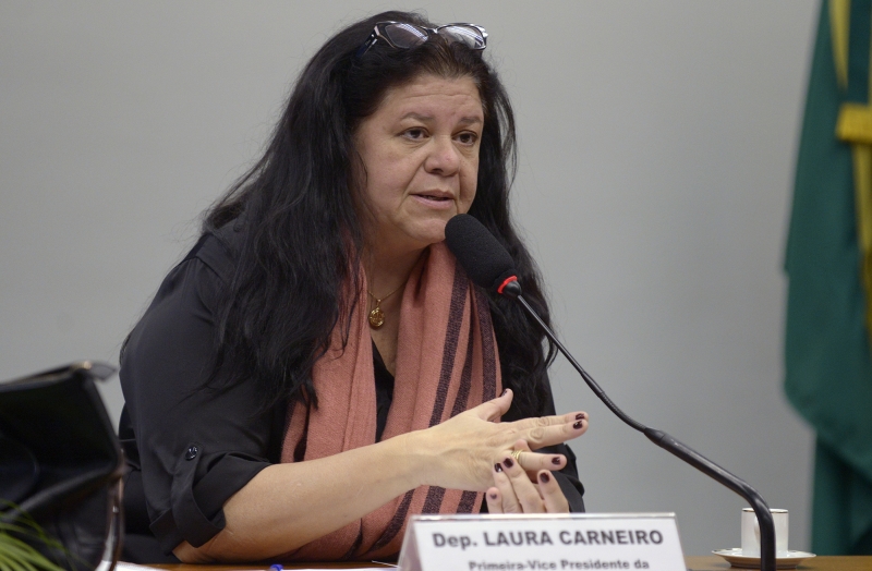Deputada federal Laura Carneiro é favorável a medida mas destaca a importância de recursos financeiros
