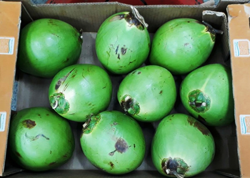 Produto desenvolvido pela Embrapa será embarcado para Portugal