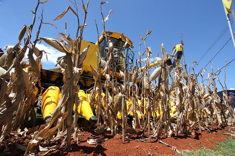 O resultado é 712.428 toneladas maior que o estimado para o período pelo levantamento de março