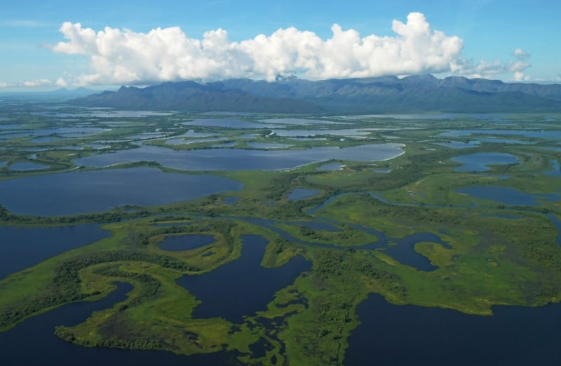 &Aacute;rea est&aacute; no sudeste boliviano e integra a plan&iacute;cie alag&aacute;vel do Pantanal, compartilhada por Brasil, Bol&iacute;via e Paraguai