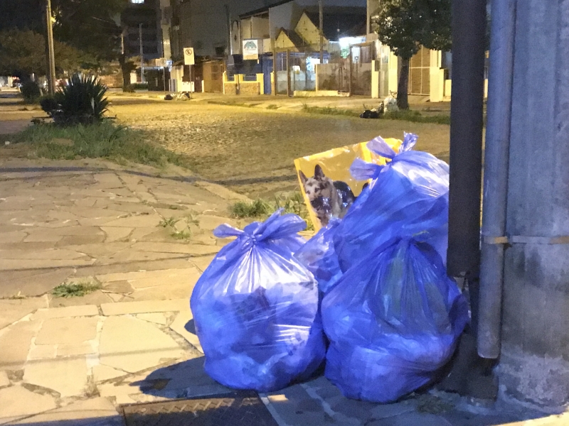 Sacos de lixo orgânico completam 24 horas em calçada em bairro de Porto Alegre