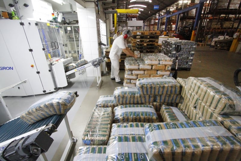 Segmento com maior representatividade no emprego foi a fabricação de produtos alimentícios