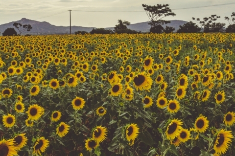 "Nada permanece intacto ao ambiente"
