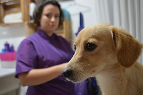 Ao empreender em um ramo diferente de sua &aacute;rea de forma&ccedil;&atilde;o, Nicole concilia as duas fun&ccedil;&otilde;es