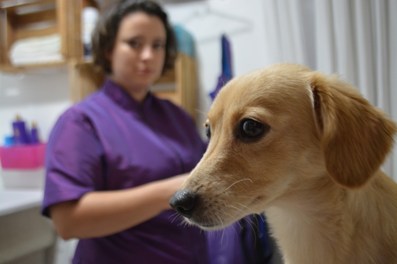 Ao empreender em um ramo diferente de sua &aacute;rea de forma&ccedil;&atilde;o, Nicole concilia as duas fun&ccedil;&otilde;es Foto: PAOLA GUIMAR&Atilde;ES/DIVULGA&Ccedil;&Atilde;O/JC