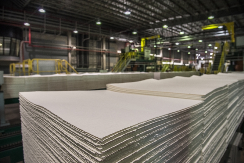 Segmento de papel e celulose usou a capacidade de produção de suas fábricas em níveis elevados