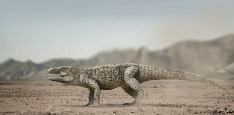 Pagosvenator candelariensis teria até três metros de comprimento e era provavelmente quadrúpede