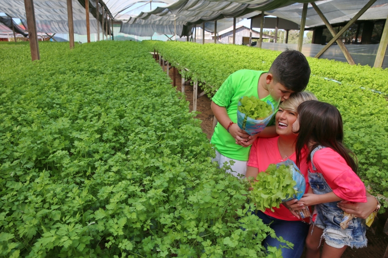 Lidiane Silva, da Acqua Hidroponia Foto: Arquivo Pessoal/JC